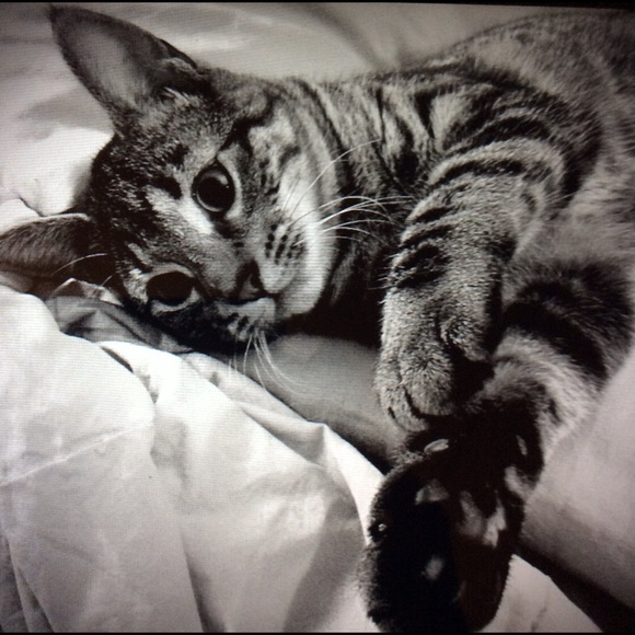 Hi 😊 - Picture 2 of 5